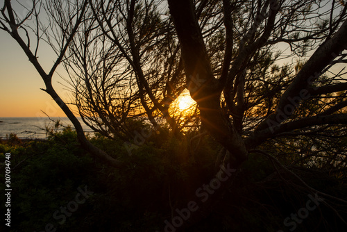 The Oropesa coast of the sea at sunrise