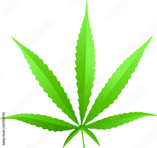 cannabis leaf vector isolated on white background