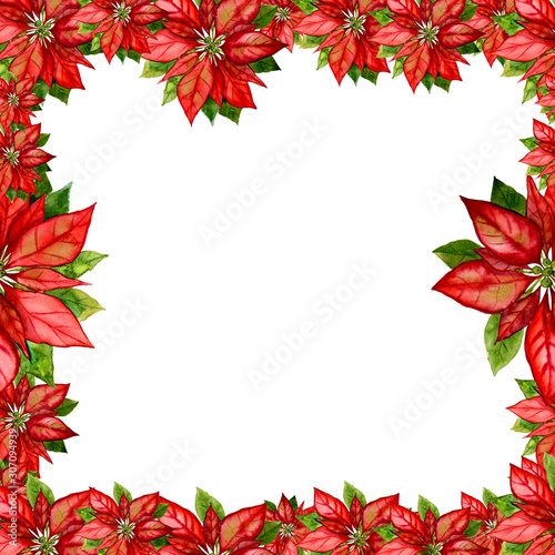 Pointsettia and Holly frame