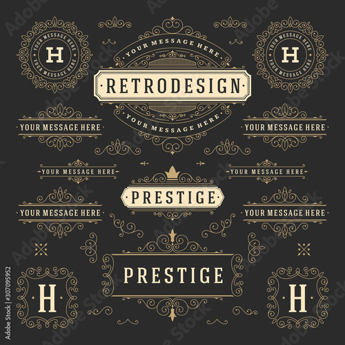 Vintage ornaments swirls and scrolls decorations design elements vector set flourishes ornate calligraphic combinations