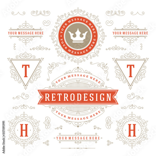 Vintage ornaments swirls and scrolls decorations design elements vector set flourishes ornate calligraphic combinations