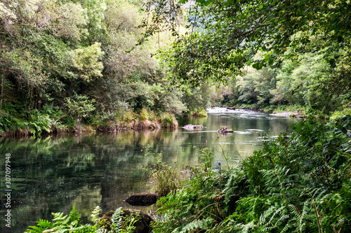 Fototapeta Naklejka Na Ścianę i Meble -  Eume river in the Fragas do Eume park