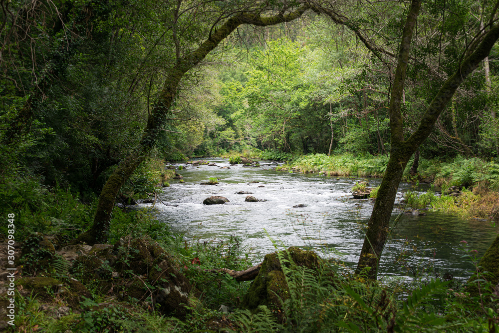 Eume river in the Fragas do Eume park Eume river in the Fragas do Eume park