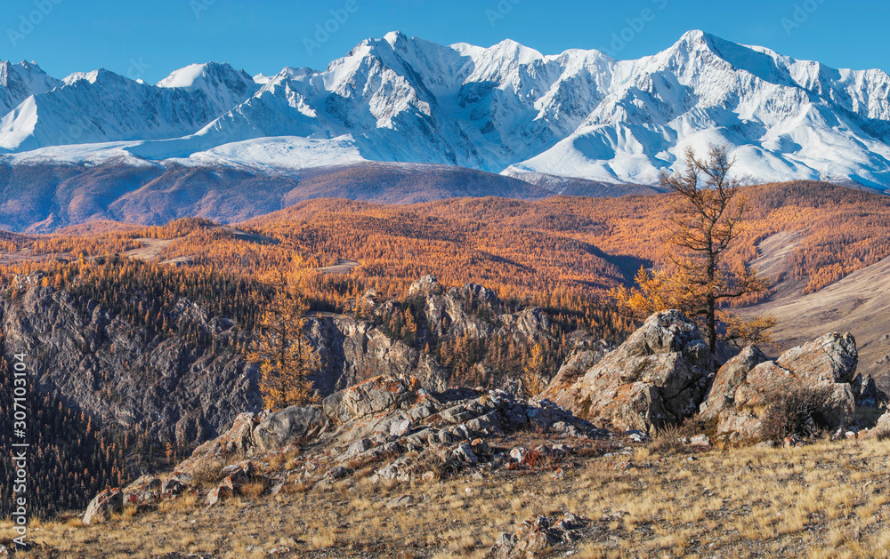 Autumn view, sunny day. Picturesque mountain landscape. Snow-capped peaks and blue sky.