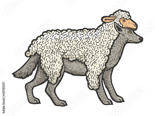 Wolf in sheeps clothing sketch engraving vector illustration. T-shirt apparel print design. Scratch board style imitation. Black and white hand drawn image.