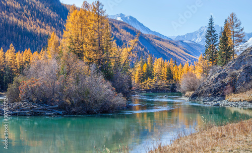Wild mountain river  evening light. The calm flow of the river  forest shores. Wild place in Siberia.