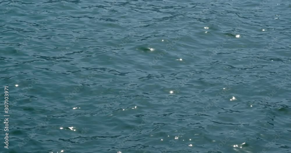 Sea surface water with sunlight sparkle Sea surface water with sunlight sparkle