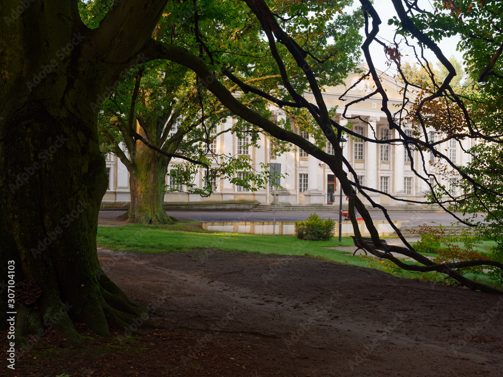 Fototapeta premium Old manor with columns in a green park. Wolsztyn, Poland