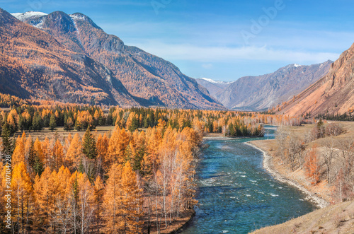 Picturesque mountain valley. Wild river, forest on the shore. Autumn view, sunny day. Altai, Siberia.