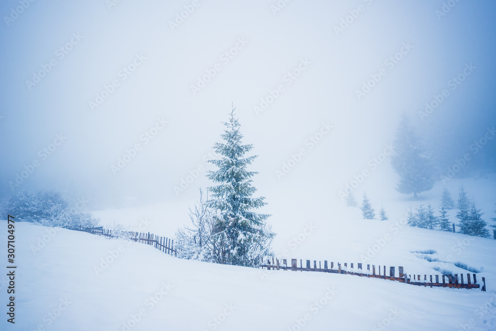 Obraz premium Beautiful panorama of fences