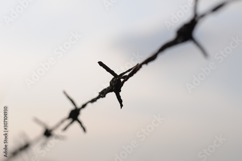 Barbed wire outdoor