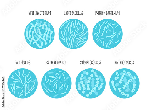 Types of useful probiotics in a circle. Vector illustration. photo