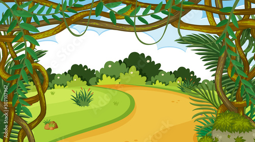 Nature scene with trail in the park