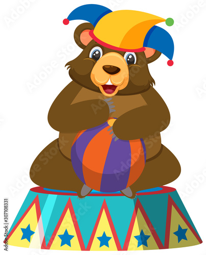 Single character of circus bear on white background