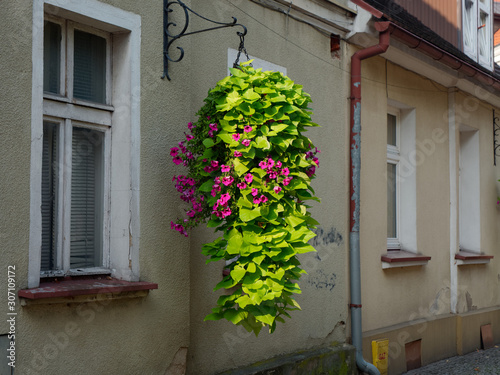 Beautiful house with decorative landscaping on a city street. Wolsztyn, Poland