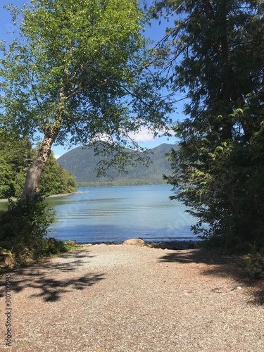lake in forest