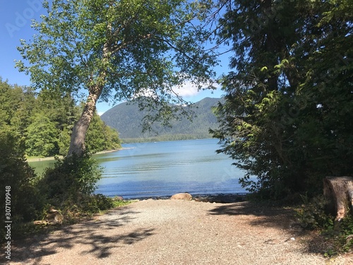 lake in the forest