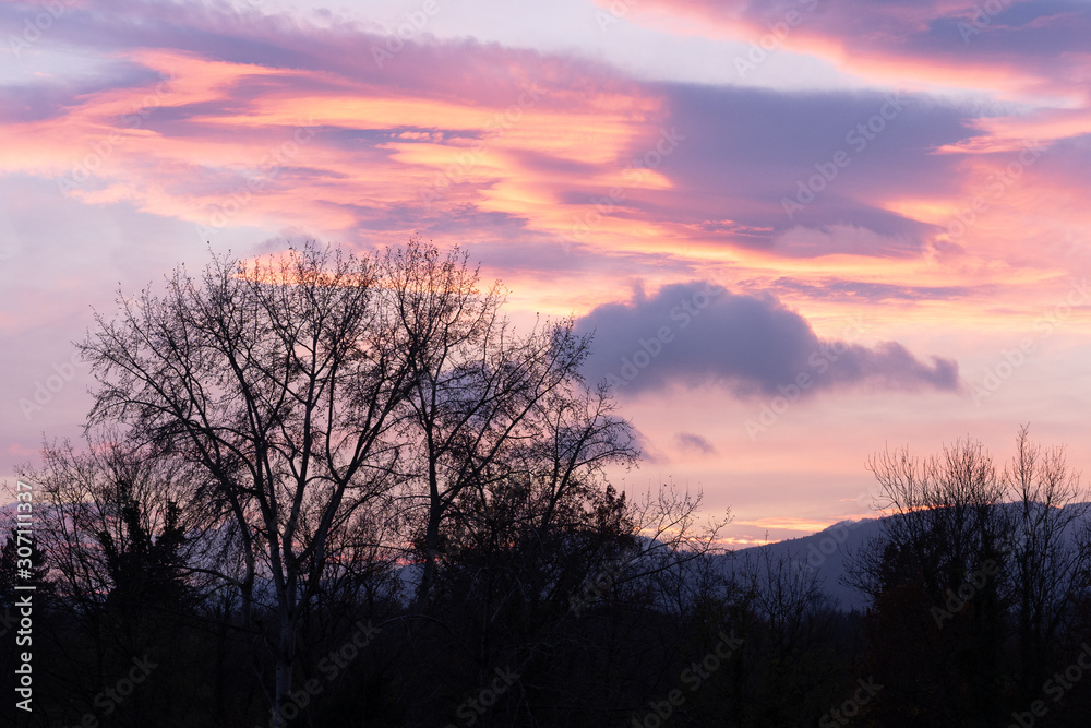 Dramatic sunset with pink clouds over bar trees and hills in wintertime in Switzerland. Unprocessed and original. Dramatic sunset with pink clouds over bar trees and hills in wintertime in Switzerland. Unprocessed and original.