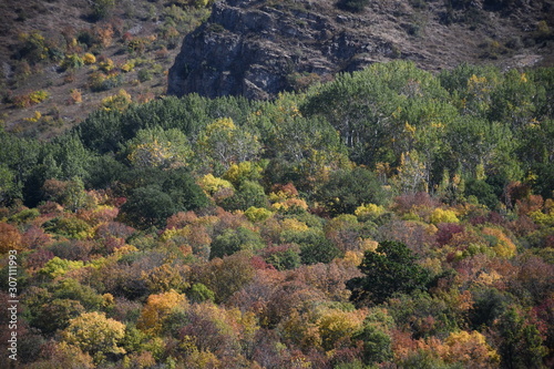 Colorful autumn landscape at the foot of the mountain