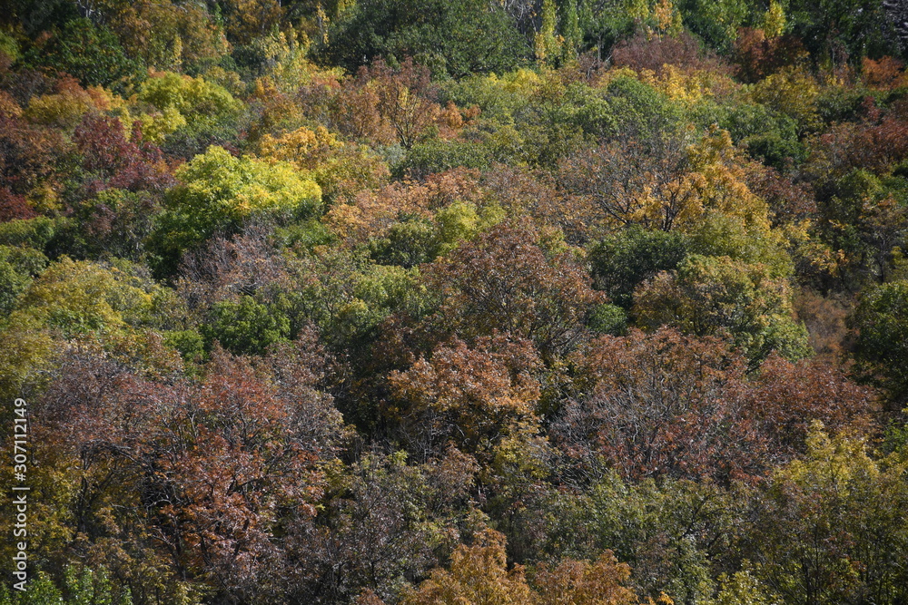 Colorful autumn landscape at the foot of the mountain