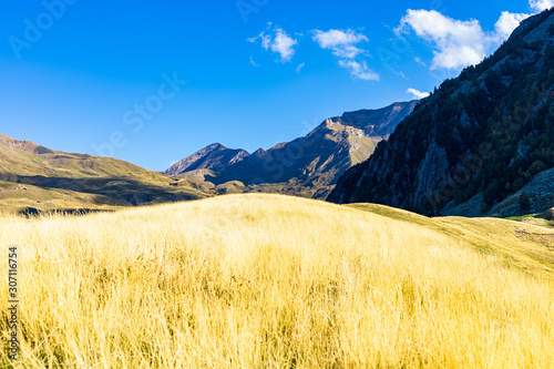 View of the Cerler peak with a yellow grassy meadow from the end of September. Cerler, Aragon, Spain