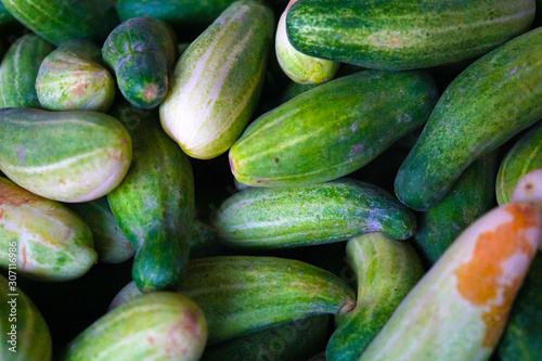 Large group of Cucumber