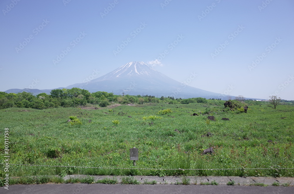 Obraz premium 富士山007