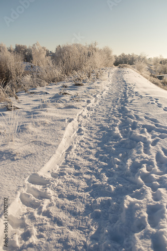 Frosty winter landscape with a path in the snow and trees in the frost