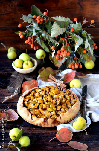 Apple Galette with cinnamon, autumn still life