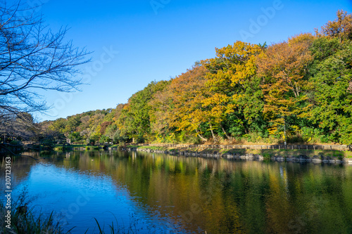 秋の公園
