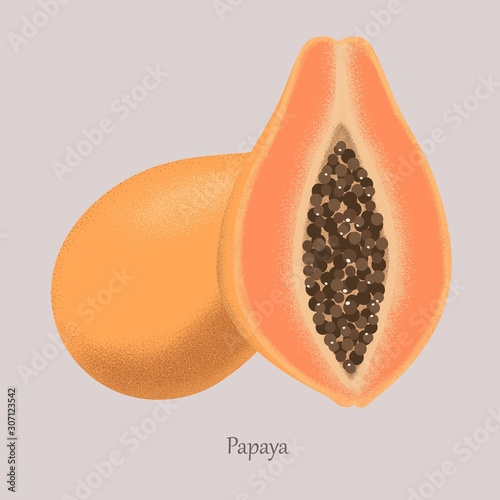 Papaya isolated on a gray background. Half and whole orange papaya. Vector ripe papaya with seeds. Illustration, isolated fruit.