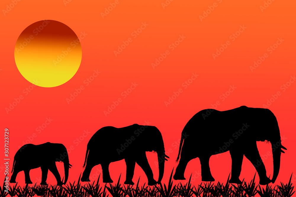 Fototapeta premium 3 Elefanten Silhouetten mit afrikansicher Sonne