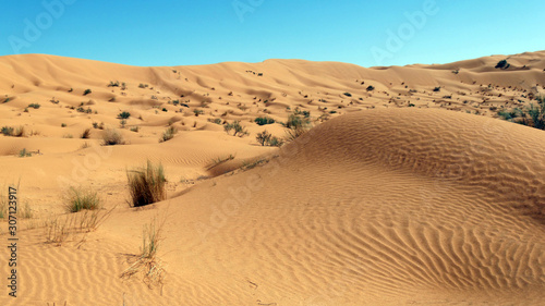 Dune del Sahara