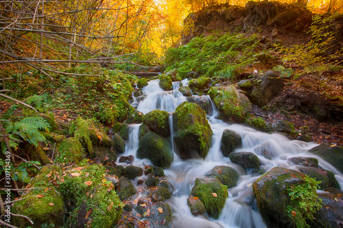 Autumn forest road leaves view. Autumn leaves ground. Autumn forest road water landscape. Autumn leaves water road view . (seven lakes) Yedigoller with orange boat - Park Bolu, Turkey