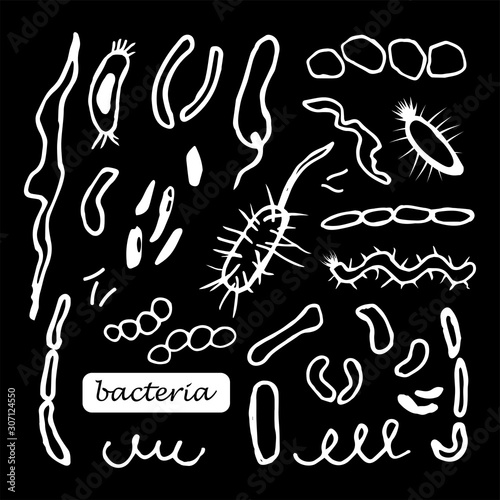 Vector set hand drawn bacteria, microbe and virus isolated on black background.Vector outline.