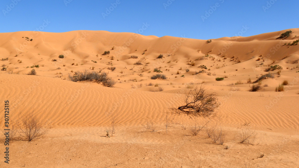 Dune del Sahara