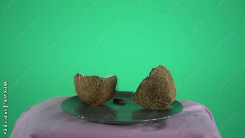 Coconut and hammer