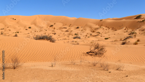 Dune del Sahara