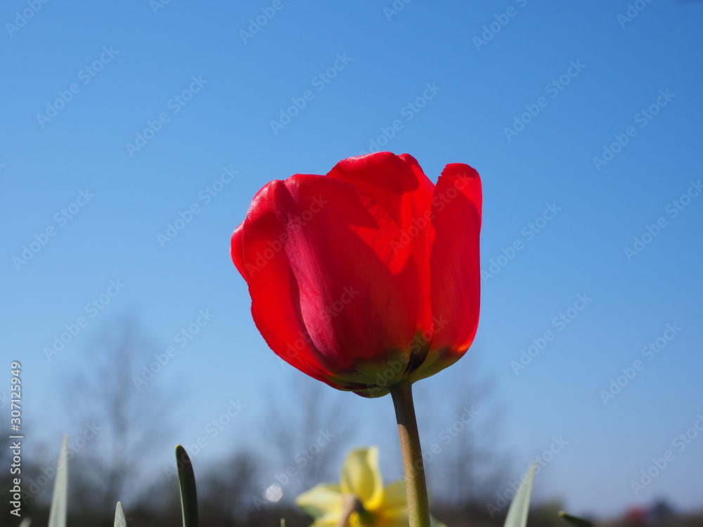 Obraz premium OLYMPUS DIGITAL CAMERA