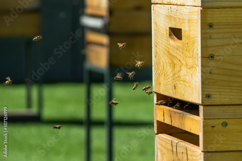 Hives in apiary on the roof of modern building in the downtown photo