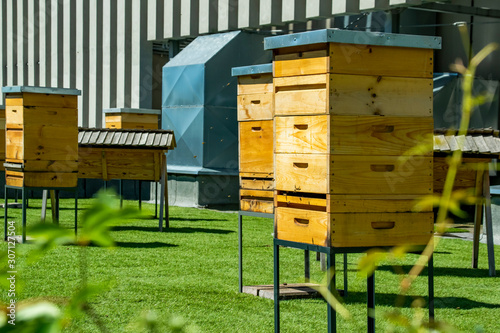 Hives in apiary on the roof of modern building in the downtown