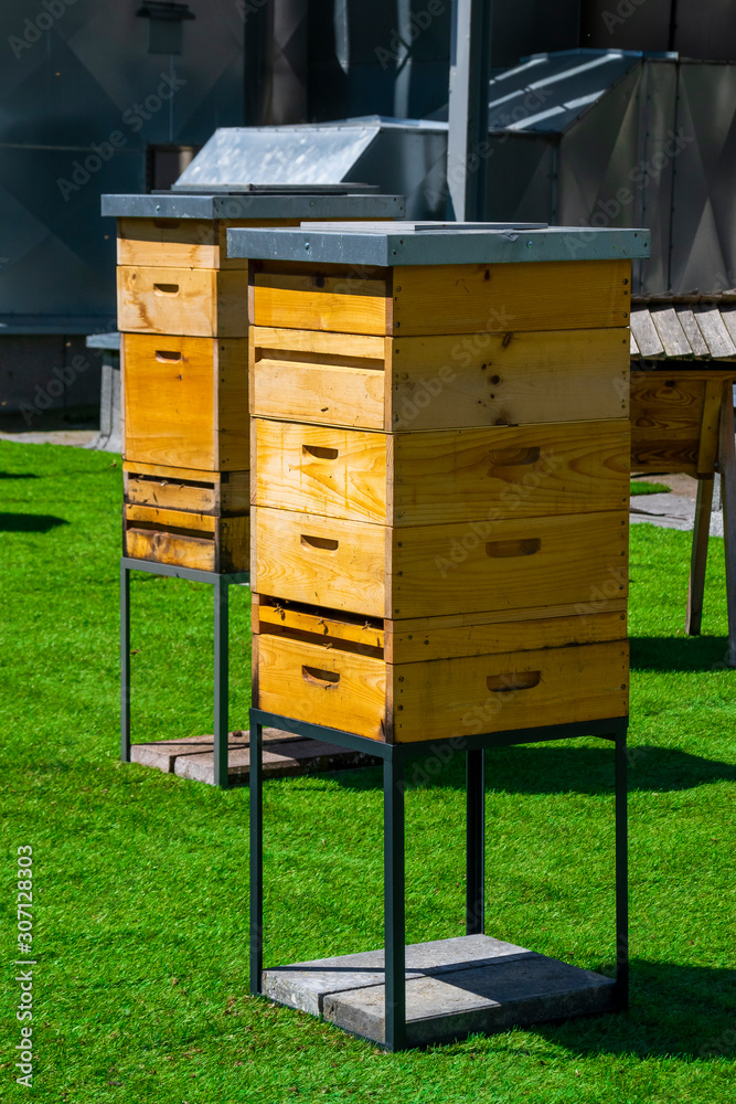 Hives in apiary on the roof of modern building in the downtown Hives in apiary on the roof of modern building in the downtown