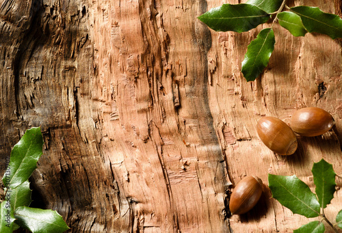 holm oak leaves and acorns on wood texture background