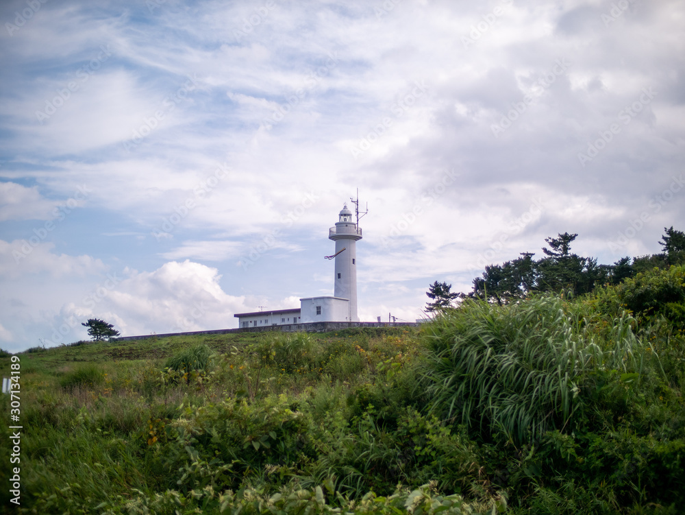 Lighthouse at Tanesashi kaigan coast. Slightly soft filtered.