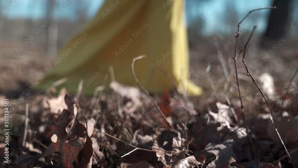 woman in yellow dress walking across autumn leaves