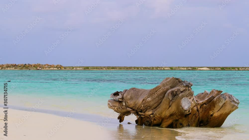 Beach and palm tree in the Maldives beautiful view. Beach and palm tree in the Maldives beautiful view.