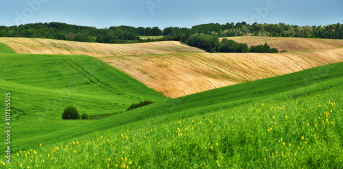 hilly field. agricultural field. beautiful hills © sergnester