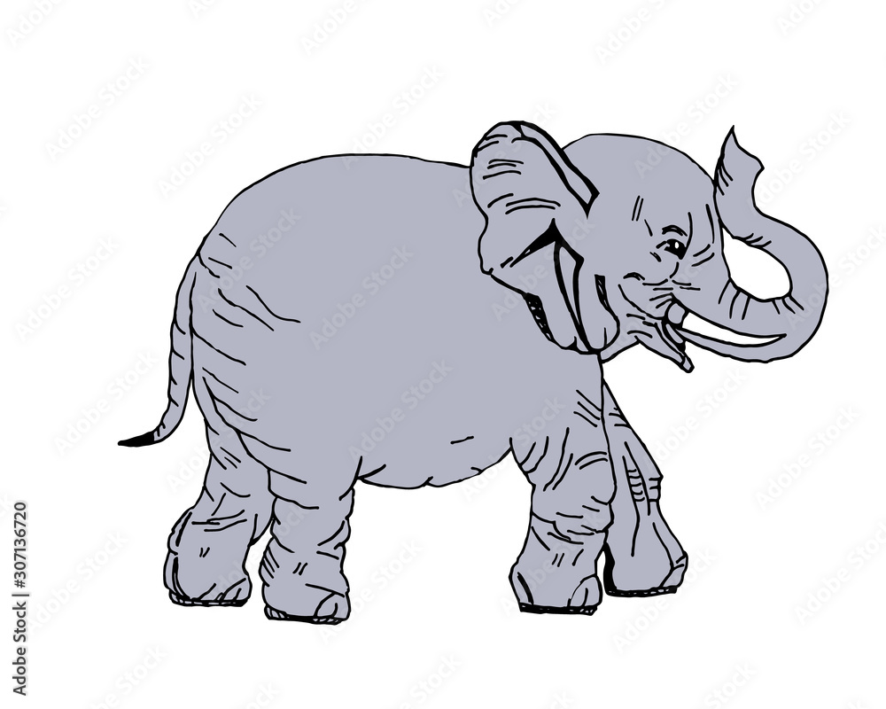 Fototapeta premium illustration of an elephant