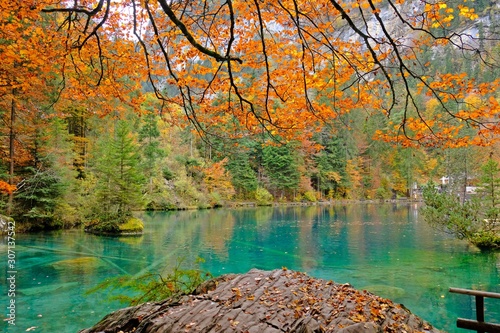 Colorful leaves during Fall or Autumn with a crystal bright blue lake and a rock at Blausee, Kandergrund, SWITZERLAND. photo