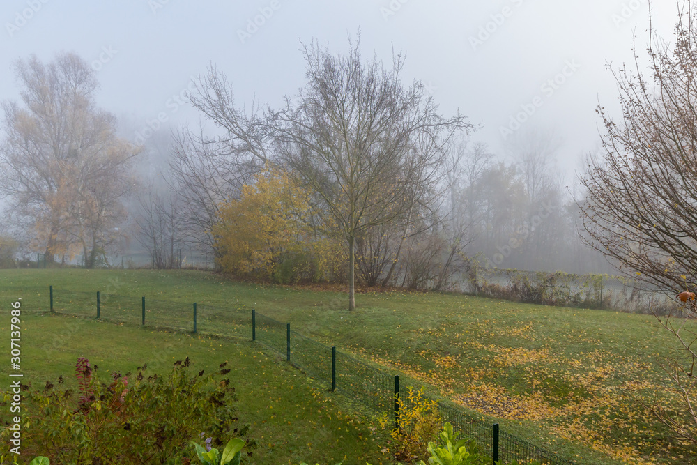 Autumn fog in the morning 